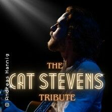 The Cat Stevens Tribute - Patrick Snow