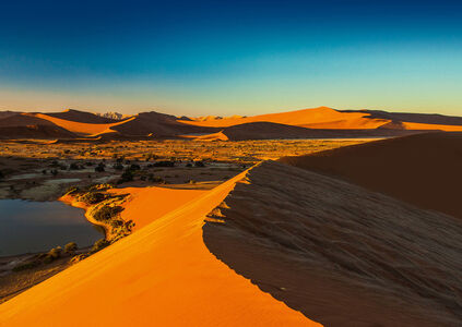 Namibia & Botswana -Tierisch gut